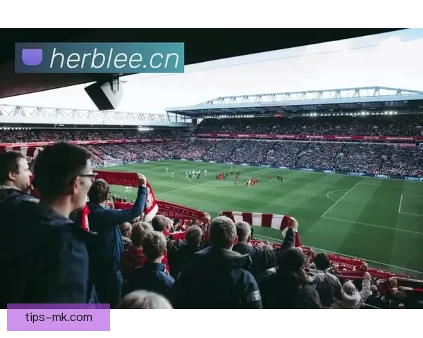 MK体育APP下载与安装指南，让您随时随地享受极速体育赛事直播与数据分析