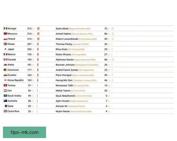 MK体育世界杯投注攻略详解助你精准分析赛事赢取丰厚奖金