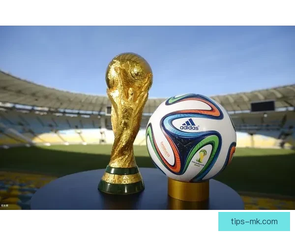 激情世界杯竞猜入口开启，轻松赢取丰厚奖励与精彩互动体验