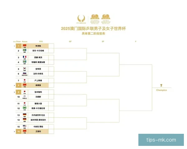 世界杯赛程与数据深度解析精准竞猜预测全攻略