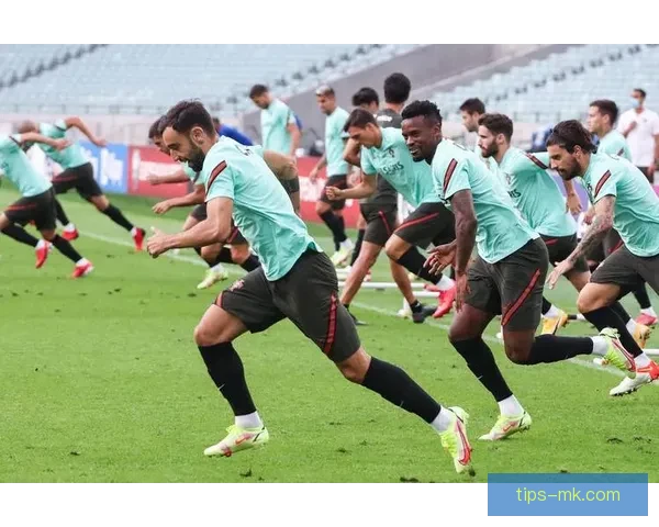 世界杯足球竞猜盘口分析与投注策略全面解析助你赢得丰厚回报