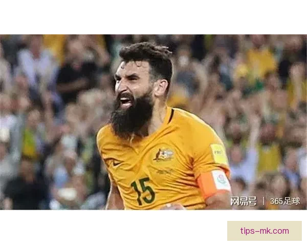 世界杯竞猜热门盘口深度解析与投注技巧全攻略